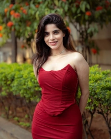 Dwarka Call Girl Services